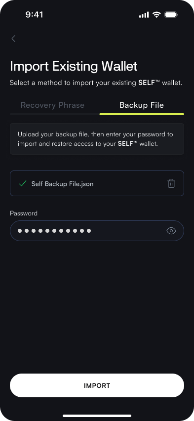 The File Backup Import view, showing the option to select a backup file from local storage