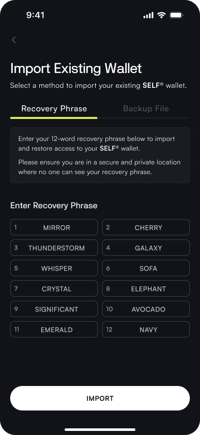 The Recovery Phrase Import view, showing the input for the 12-term recovery phrase
