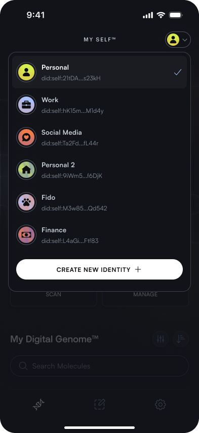 "switch and create identity image"